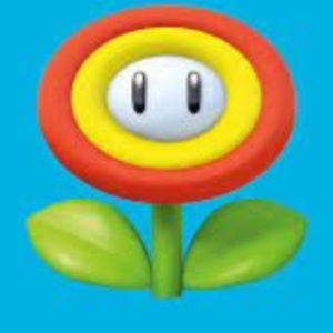 Meet your Posher, Renzo